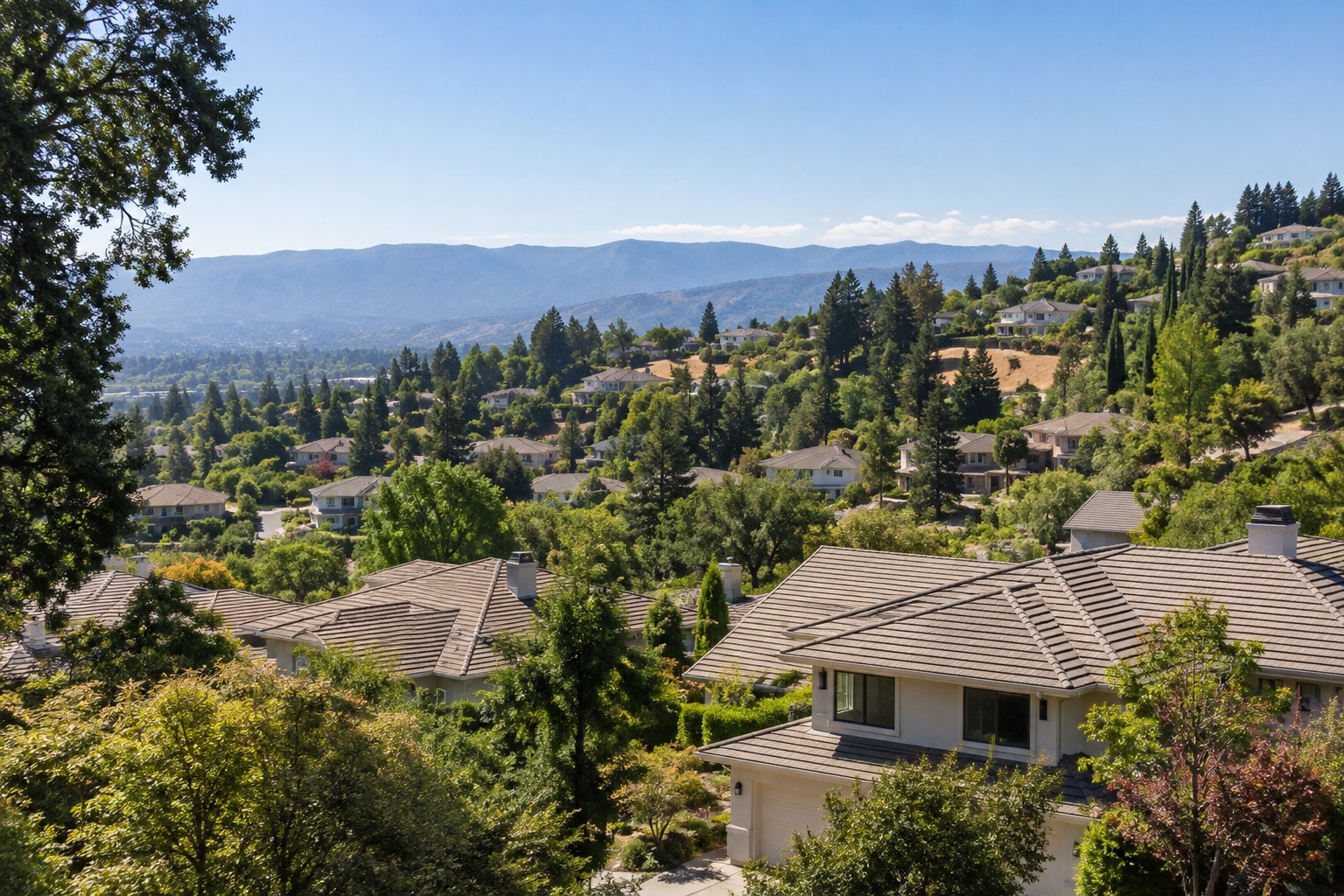 Cupertino