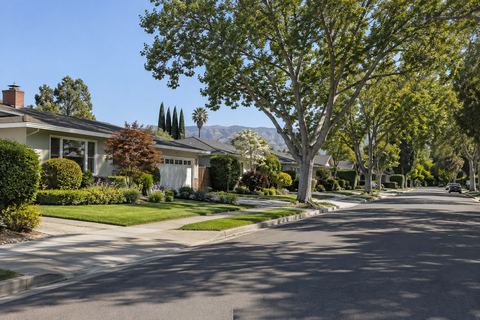 San Jose